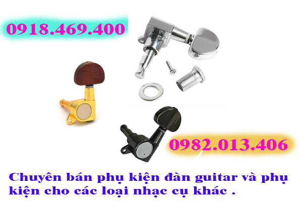 Mua khóa đàn guitar tại Shop Nhạc Cụ Nụ Hồng Gò Vấp