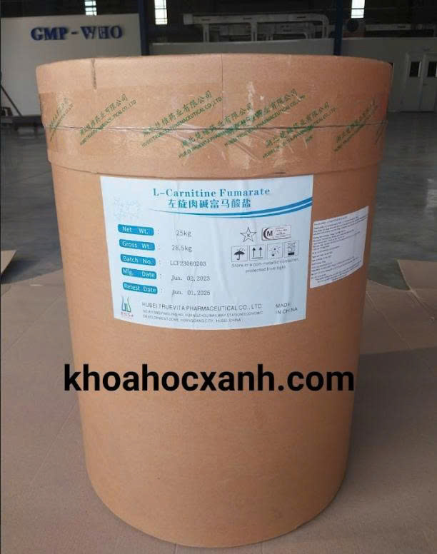 L- CARNITINE FUMARATE nguyên liệu 99% – thành phần tuyệt vời cho các sản phẩm bổ gan