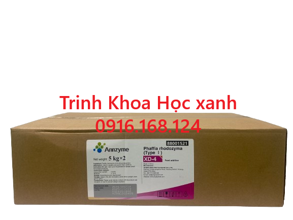 PHAFFIA RHODOZYMA - Astaxanthin tự nhiên